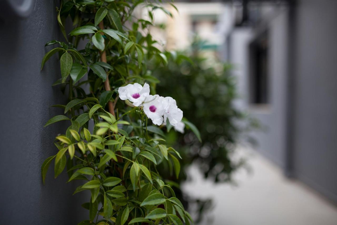 Spacious Flat With Courtyard And Private Parking! Athens Exterior photo